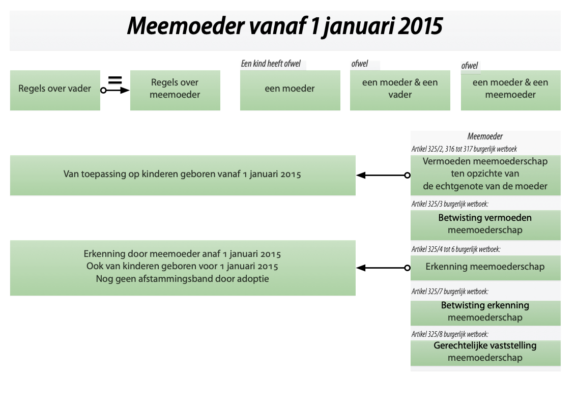 Meemoeder vanaf 1 januari 2015