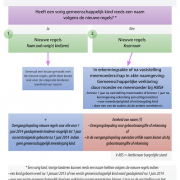 Erkenning meemoeder - mogelijkheden